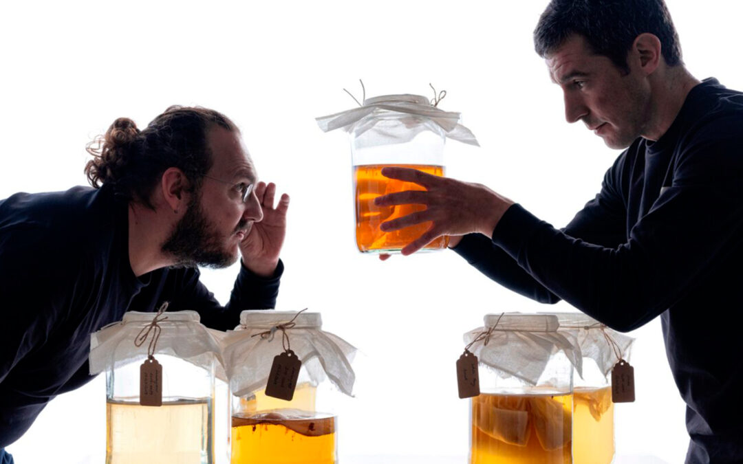 Explorar, abrir la mente, embriagarse…¿con o sin alcohol?